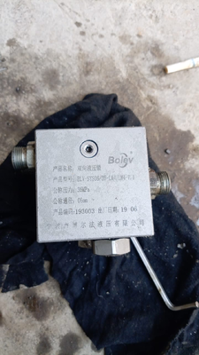 Bidirectional Hydraulic Lock BLV-SYS06/35-LM4/B-7.1 60323896